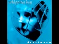 Whipping Boy - Twinkle 