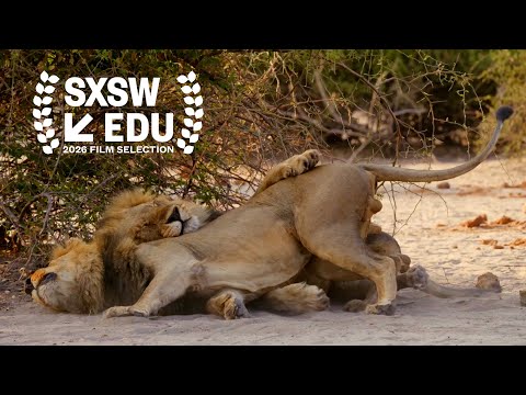 Tráiler de Second Nature: Gender and Sexuality in the Animal World (2024)