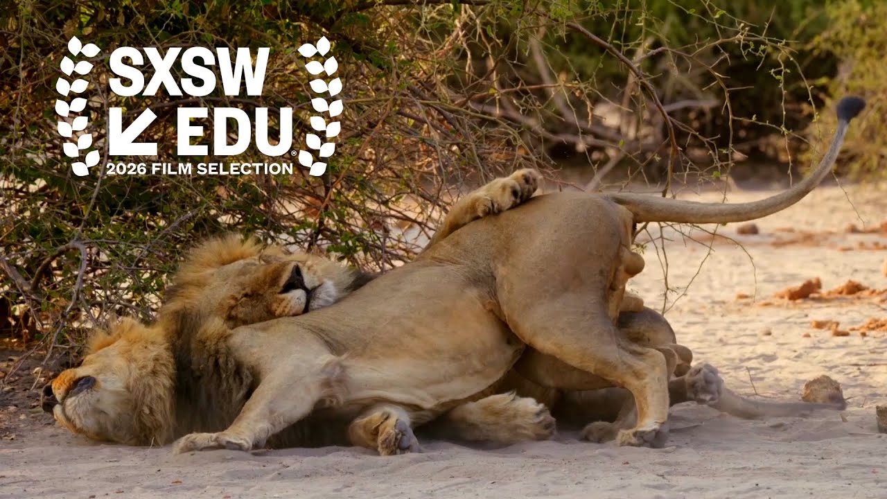 Second Nature: Gender and Sexuality in the Animal World — Official Trailer