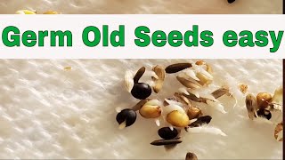 How to Germinate old seeds
