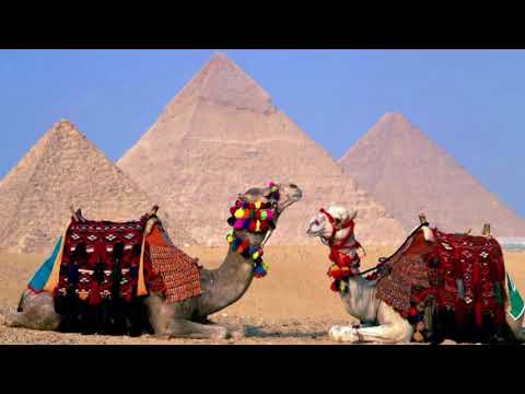 Liana Alaverdyan  Tox ari