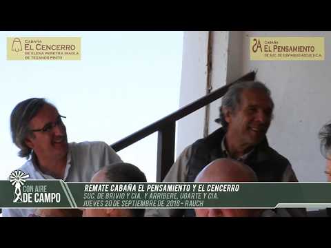 Resumen del remate de Cabaña El Pensamiento y El Cencerro - Jueves 20 de Sep. 2018 - Rauch
