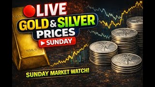 Silver & Gold AFTER the CRASH... Opportunity or Trap?