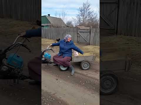 Дед сделал бабке прицеп для свиньи… но поездка закончилась неожиданно #shorts #funny #смех