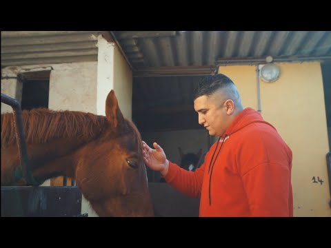 Ryodan TY - Sahi (Clip Officiel)