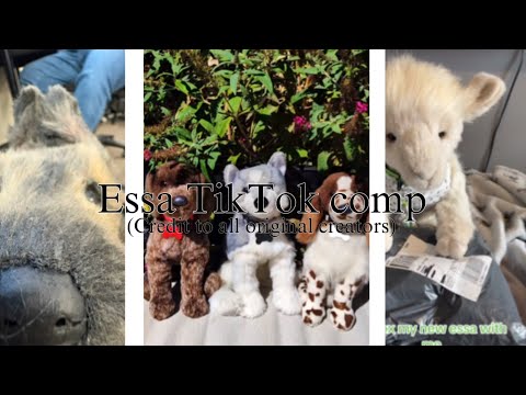 Essa TikTok comp (credit to all original creators) #essa 