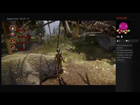 Tinerbug live PS4 stream Dragon Age Inquisition; The Hinterlands, Dwarfson's Pass