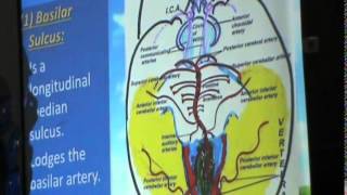 37) Dr. Sherif Zaki 14- 12 -2014  [ Pons - Mid Brain ]