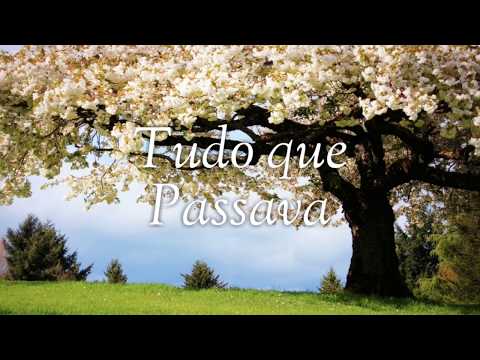 Tudo que Passava - Irmãos Schmidt