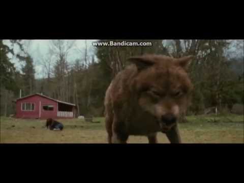 Twilight Wolves - Riot