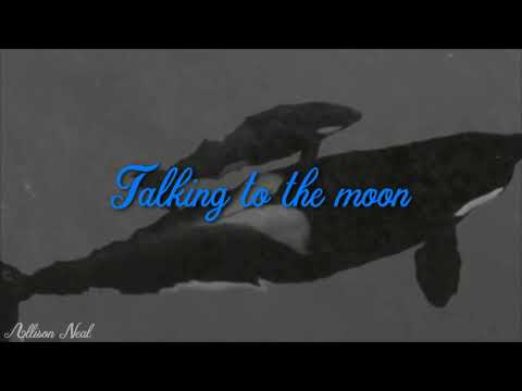 {Talking to the Moon} RIP Kyara and Tilikum