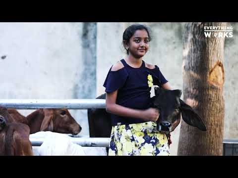 Preetha and her Love for 'Cows' | Stories | Everything Works