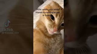 Cover art for Chills Spanish