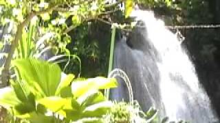 preview picture of video 'The Ruins At The Falls, Ocho Rios Jamaica'