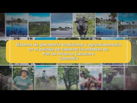 Colombia Camino al primer Sistema Importante del Patrimonio Agrícola Mundial (SIPAM)