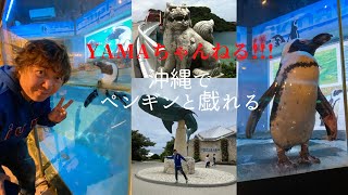 【ジンベイザメ】【ペンギン】【沖縄観光】YAMAちゃん、沖縄でペンギンと戯れる‼︎
