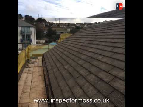 Inspectormoss exterior cleaning & sealing  experts video.