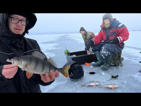 Ahvenen perässä Itä-Suomessa - Ahvenen pilkintä - Kalastus - Pilkkiminen - Jasu Pelti - Jasu Suvas