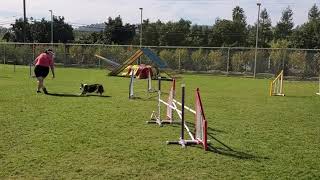 Download lagu 20201121 109715 KK MasStd mod1 mp3