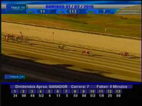 Resumen Domingo 7 de Febrero 2010 - La Rinconada