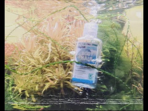 Die verlorene JBL Werbung