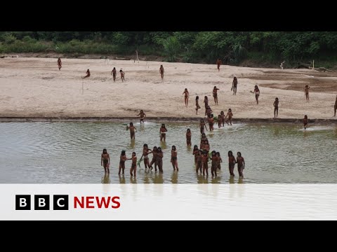 Video | 'Brothers in the forest' - the fight to protect an isolated Amazon tribe | BBC News