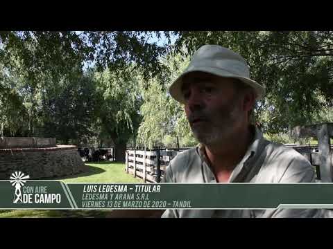 Luis Ledesma - Ledesma y Arana - Viernes 13 de marzo de 2020 - Tandil