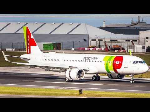 DOIS DEDOS DE CONVERSA #12 - A PROBLEMÁTICA DA TAP