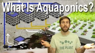 What is Aquaponics ?