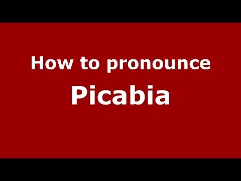 How to pronounce Picabia