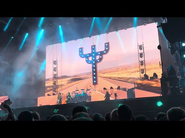 Video preview