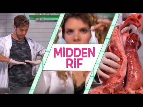 JE HEBT NIET ALLEEN JE LONGEN NODIG OM TE ADEMEN - TOPDOKS LABEXPERIMENT