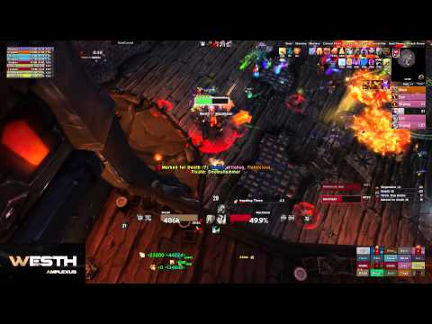 Amplexus DANSK - Mythic Blackhand