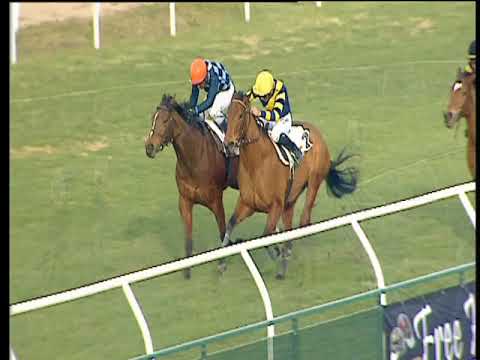 Galoppo 10/02/2018 - 2ª corsa