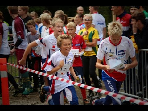 O gruppa Fossum IF del I