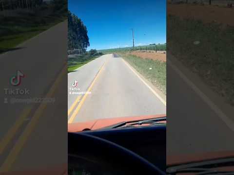 bora  la em pilar do sul