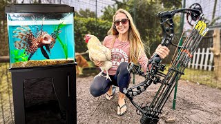 Archery Practice with My Pet Chicken & Fish Tank Updates!