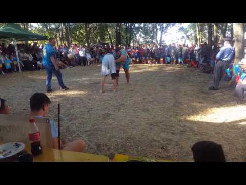 Lupte tataresti (Kures) Cobadin 2016