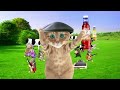 CRUSHA Kittens Classic Advertising Dave Trott