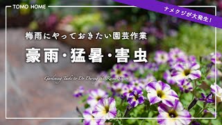 [Rot/burn] Gardening after heavy rain - Protect your flowers from the rain and heat! [Eaten]