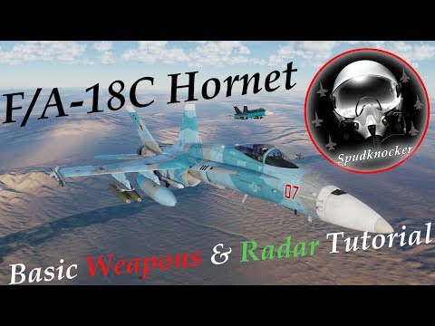 Fox One! | Basic Weapons and Radar Tutorial for the DCS: F/A-18C Hornet!