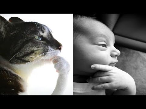 Hmm Click Click Click Click 🤔