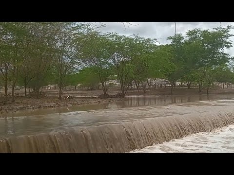 A CHEIA NO RIO  CHATA EM IBIRAJUBA_PE 28_02_2026