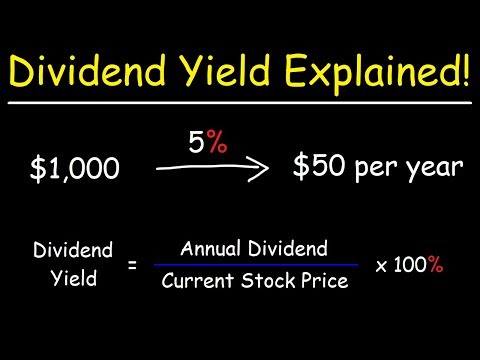 The Dividend Yield - Basic Overview Video