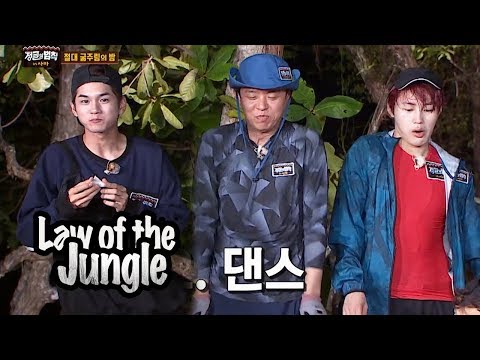 Show Us Wanna One's Squid Dance Later on~! [Law of the Jungle Ep 329]