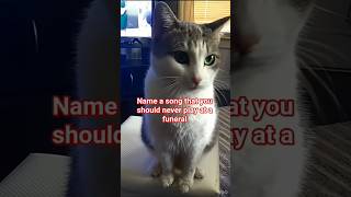 Download lagu Name That Tune! #funny #cat #shorts #fypシ mp3