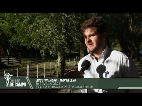 Agustín Lalor -  Martín G. Lalor - Jueves 15 de marzo de 2018 - B. Juárez