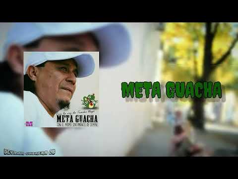 Meta Guacha - Nunca Imagine (Lyrics)