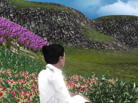 Lucica Toader - Hotarare