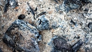 uses for wood ash and charcoal for survival and camping